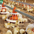 Nice Quality automatic plastic poultri broiler chicken feeder feeding pan